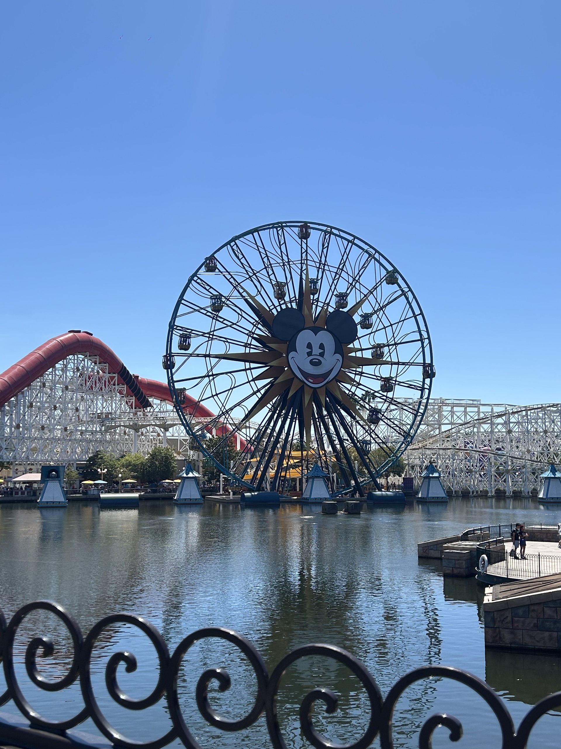 Theme park Ferris wheel field trip